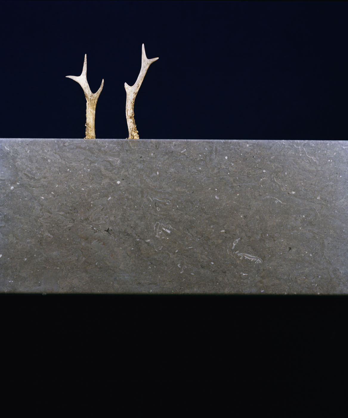 SchoenerHeit_Horn_pic